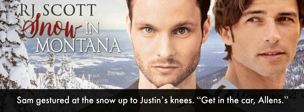 R.J. Scott - Snow In Montana Banner 4