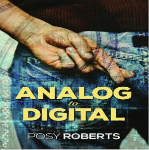 Posy Roberts - Analog to Digital Square