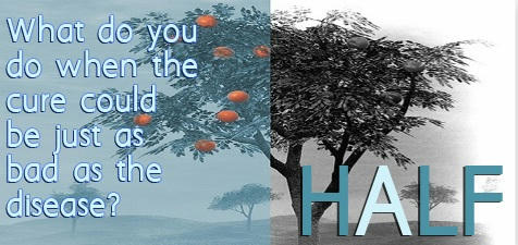 Eli Lang - Half Banner