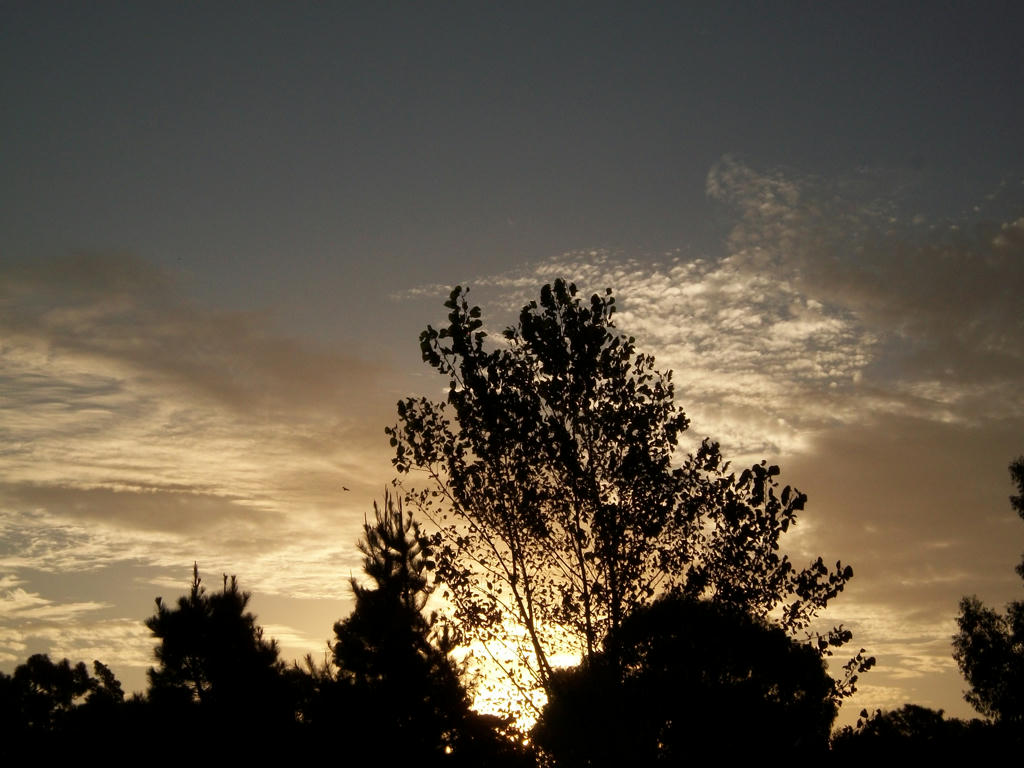v2f75j5k04qif536g.jpg