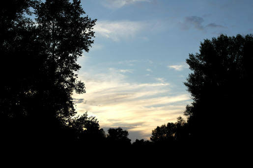 Simple, Free Image and File Hosting at MediaFire