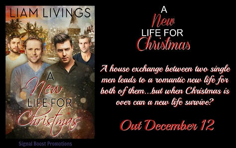 Liam Livings - A New Life For Christmas RB Banner