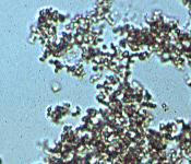 کریستال امورف