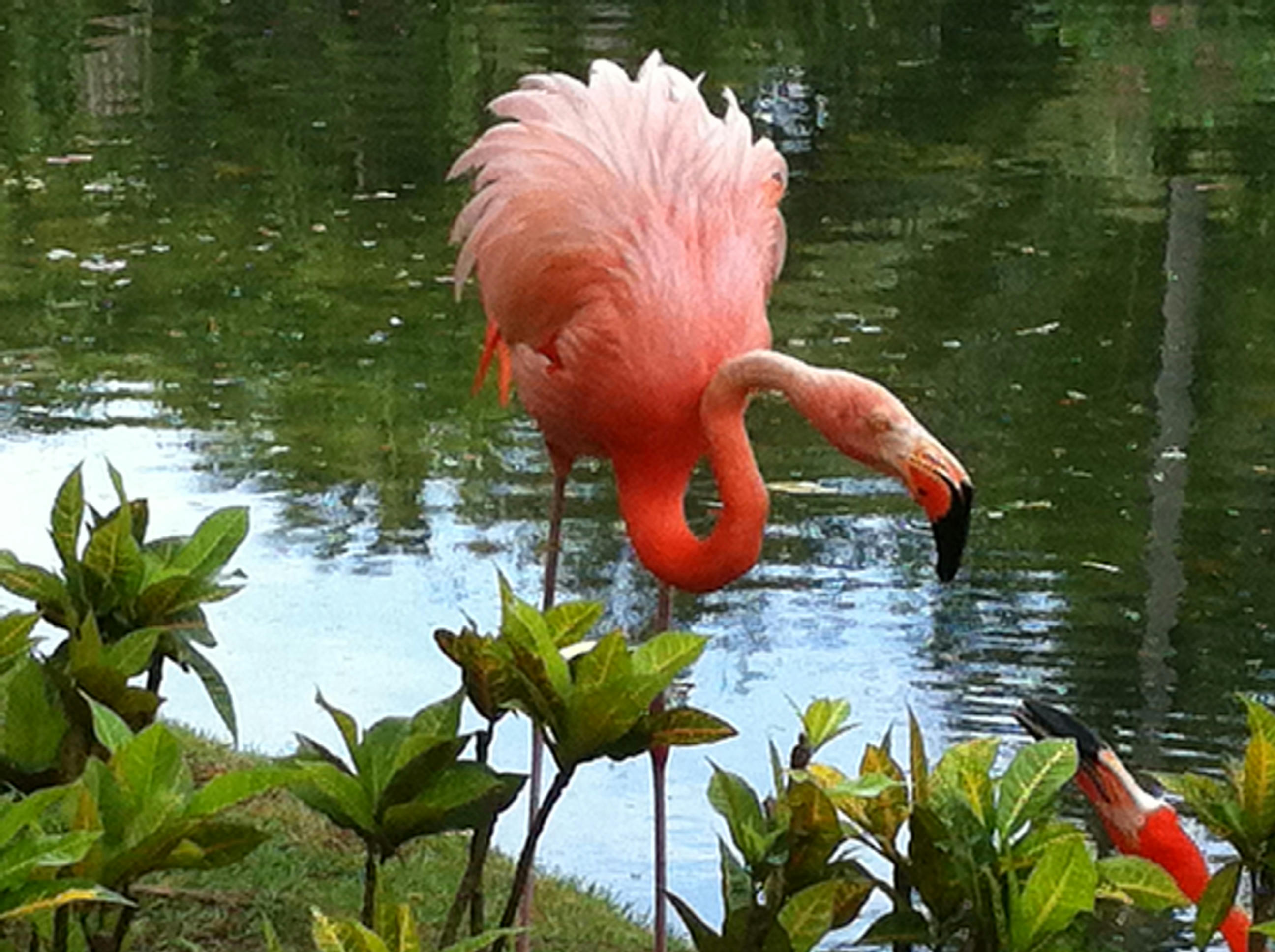 [Image: 0ino4vtrlhbrdf9fg.jpg]