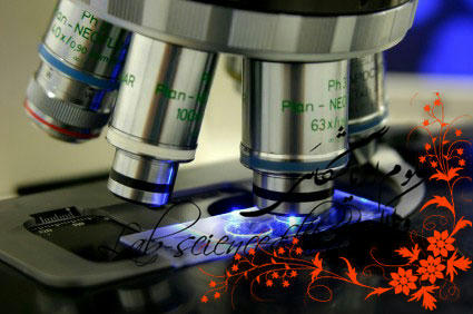 روش تهیه لام در آزمایشگاه باکتری شناسی