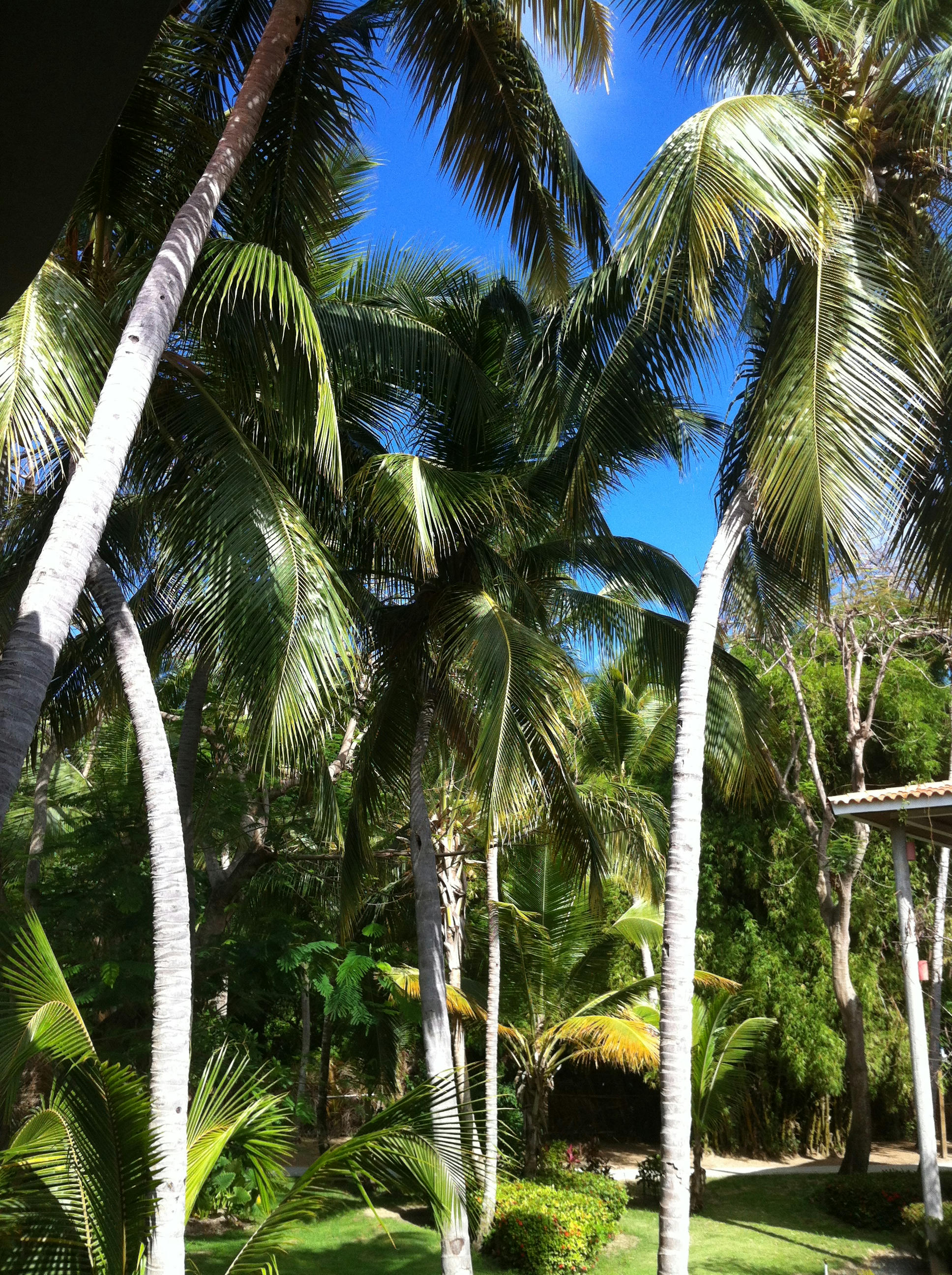 [Image: l1l4ymytvm1hinyfg.jpg]