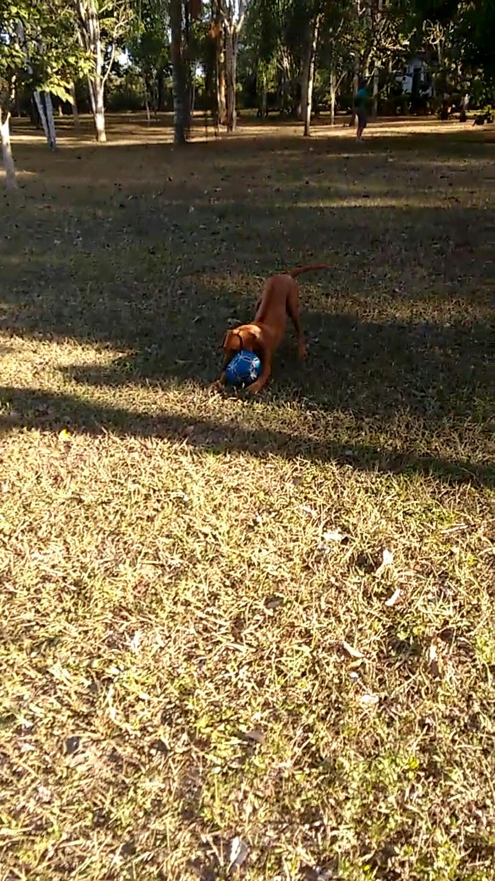 5arba9adsjg5rzhzg.jpg?size_id=b