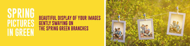 Simple, Free Image and File Hosting at MediaFire