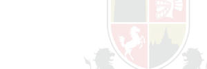 http://www.mediafire.com/convkey/87f7/jupi2337m40hrtbzg.jpg