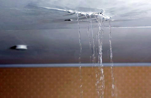    4jykj382z92mkp3zg.jpg?size_id=4