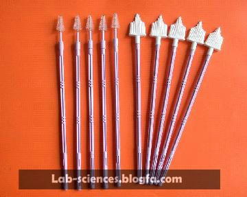 cytobrush برای نمونه برداری از دستگاه تناسلی