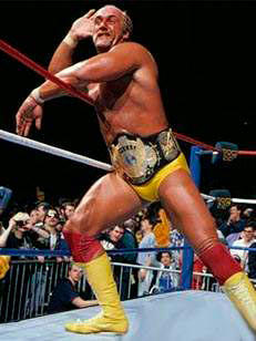 Hulk Hogan