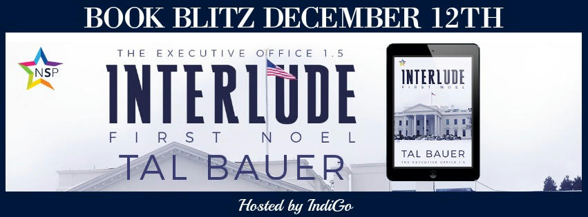 Tal Bauer - Interlude: First Noel Banner 1