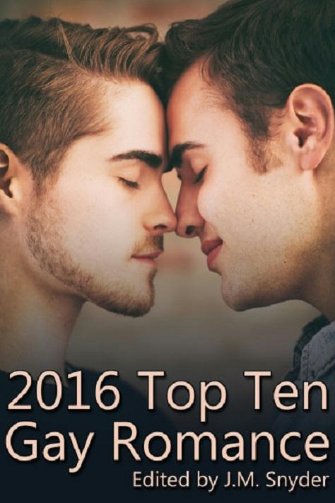 2016 Top Ten Gay Romance Cover