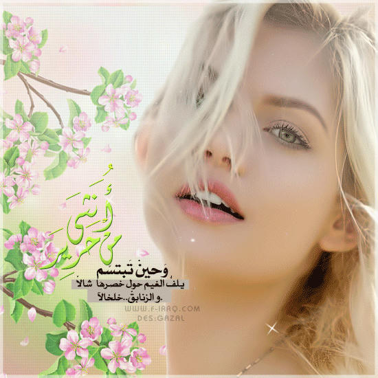 1kwd67fl2lj5ammzg.jpg