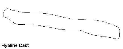 کست هیالین شکل شماتیک 