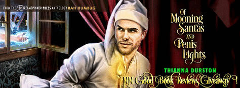 Thianna Durston - Of Mooning Santas and Penis Lights Banner gif