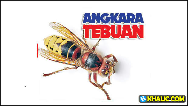 Bahana Sengatan Tebuan Kunyit