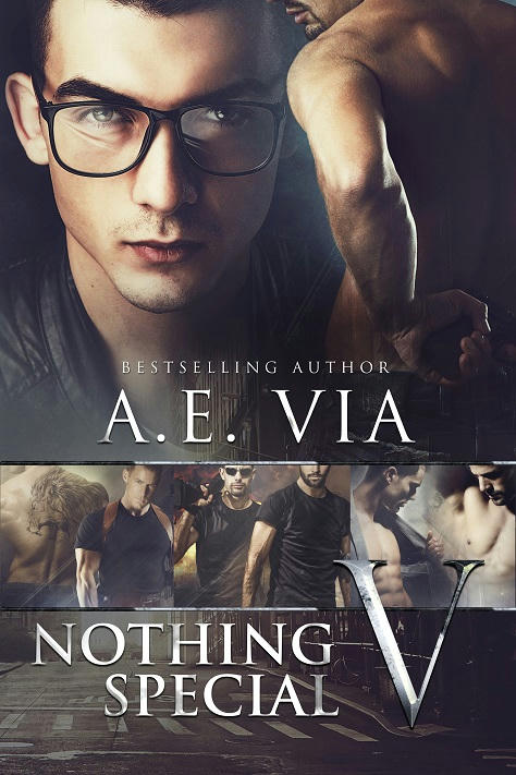 A.E. Via - Nothing Special V Cover