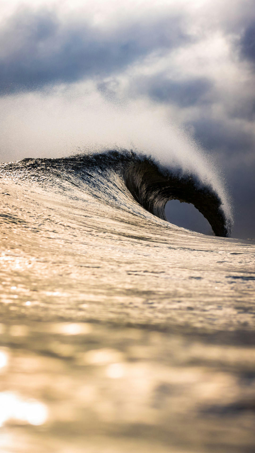 Wild Weather Wave