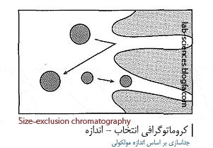كروماتوگرافي انتخابي بر اساس اندازه 