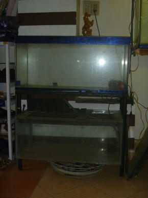 [Q3] - Thanh lý 2 dàn hồ và tặng 3 em mái kè - 1