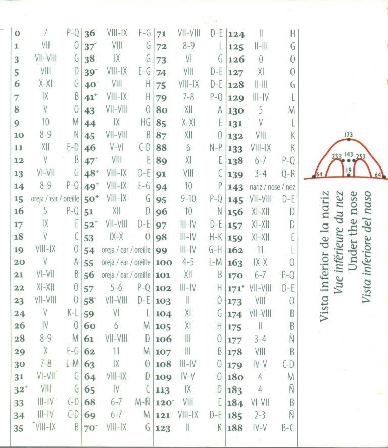http://www.mediafire.com/convkey/c2d5/j6usz7jq4cwzwe7fg.jpg?size_id=8