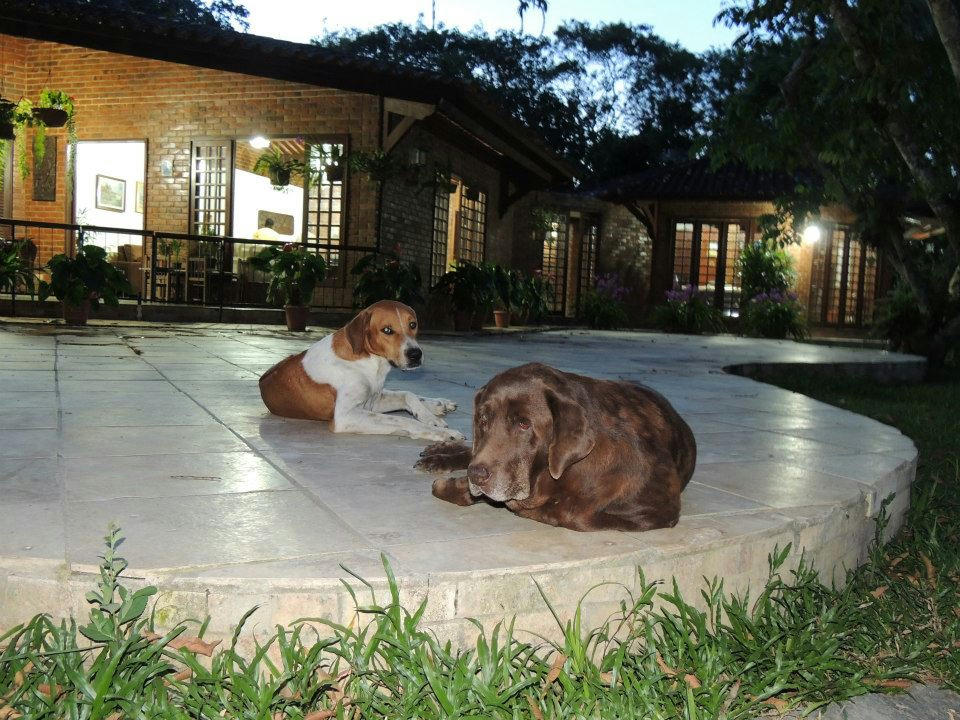 e398hiz9gr92nmbzg.jpg?size_id=6