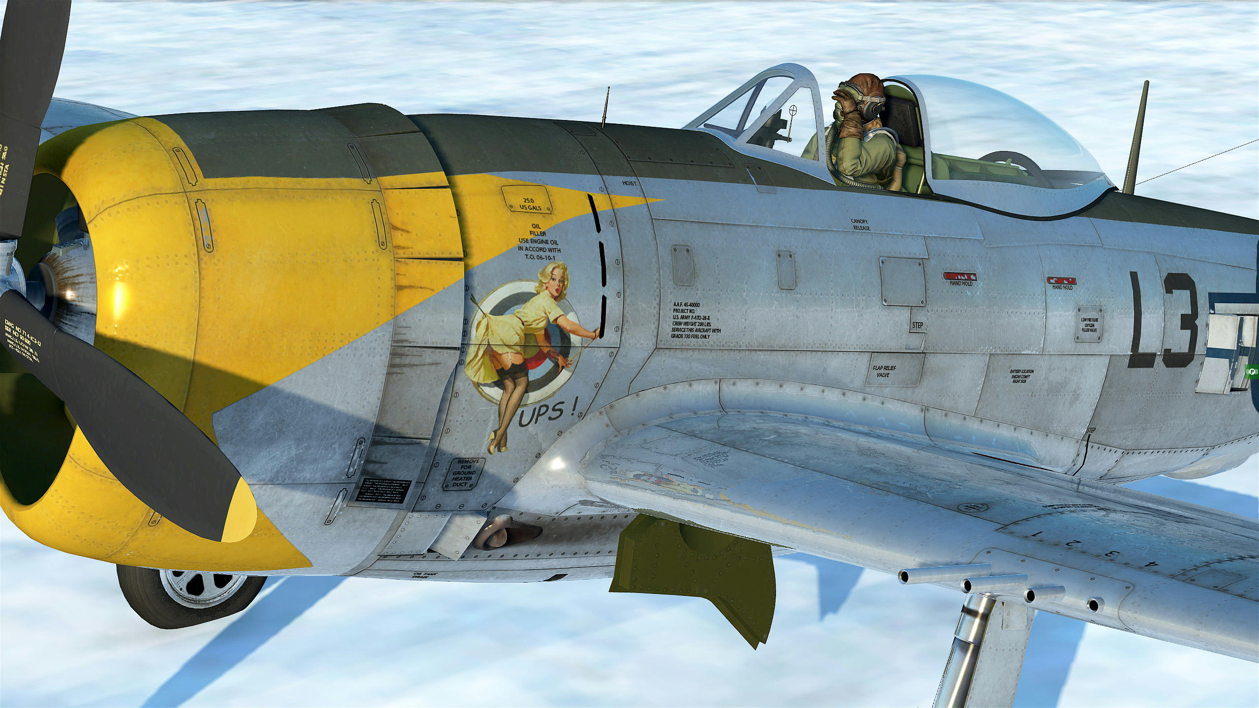 PACK P-47D du 512th FIGHTER SQUADRON - 406th FIGHTER GROUP Uqmzw7n74swpksgzg