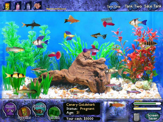 Fish Tycoon ScreenShot01 Fish Tycoon ScreenShot01