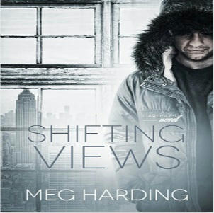 Meg Harding - Shifting Views Square