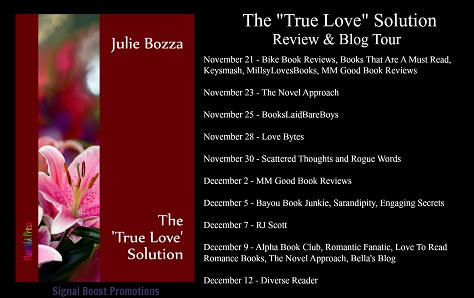 Julia Bozza - The 'True Love' Solution Banner 3