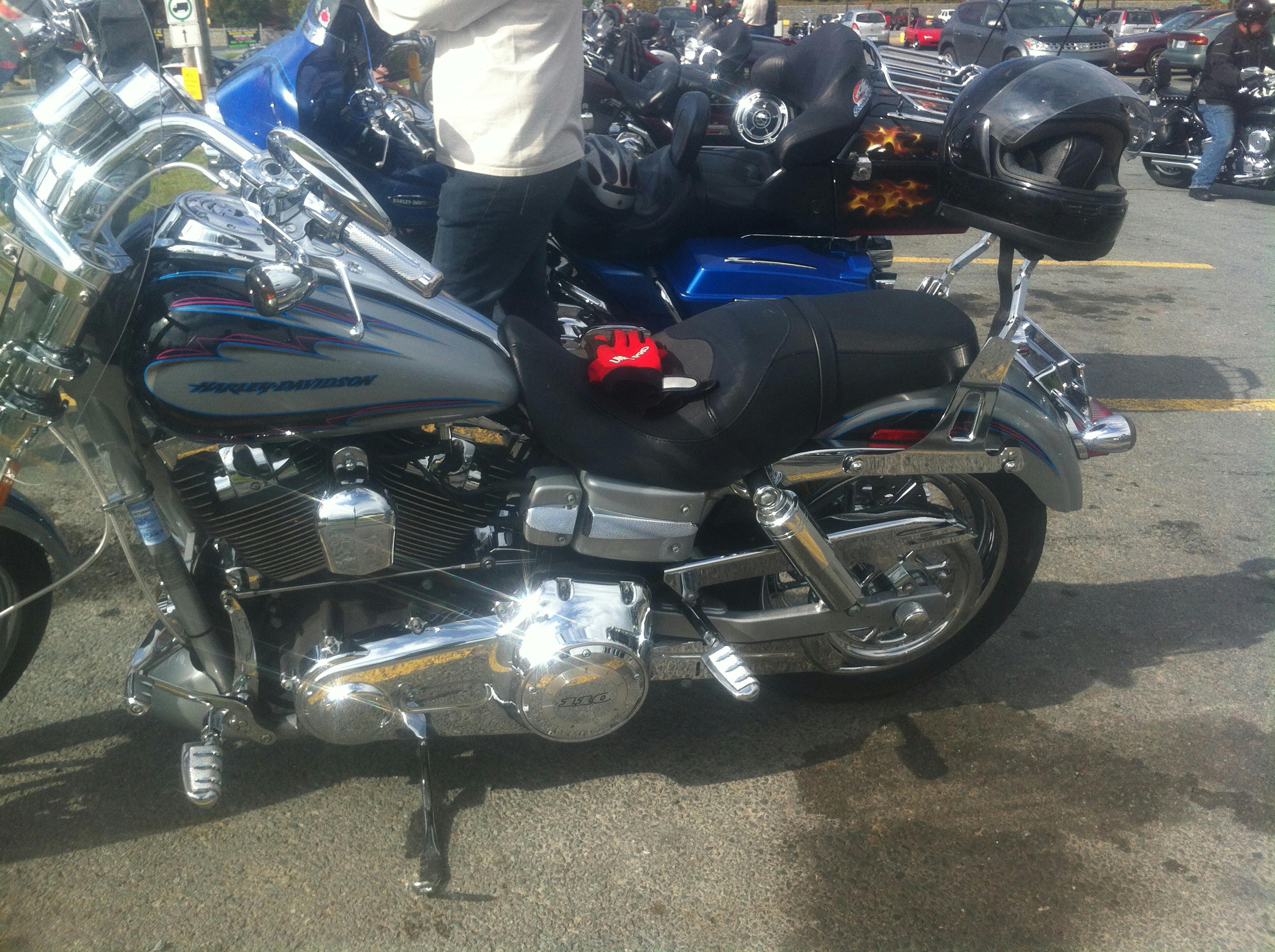 [Image: i8o9wvv99ya42alfg.jpg]