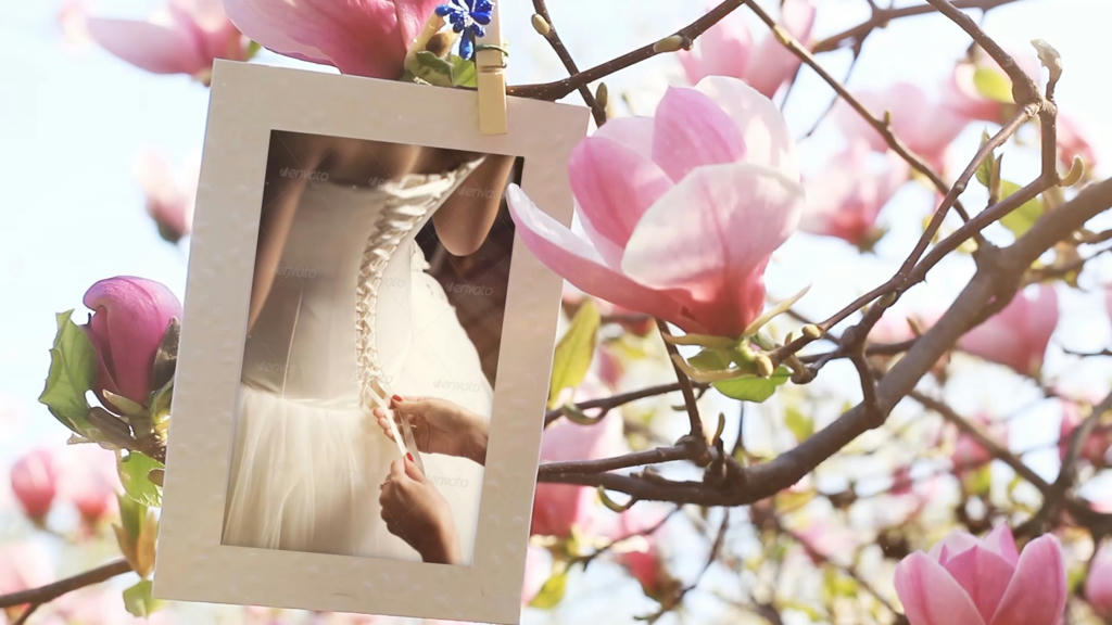 Simple, Free Image and File Hosting at MediaFire