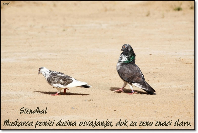 Slika