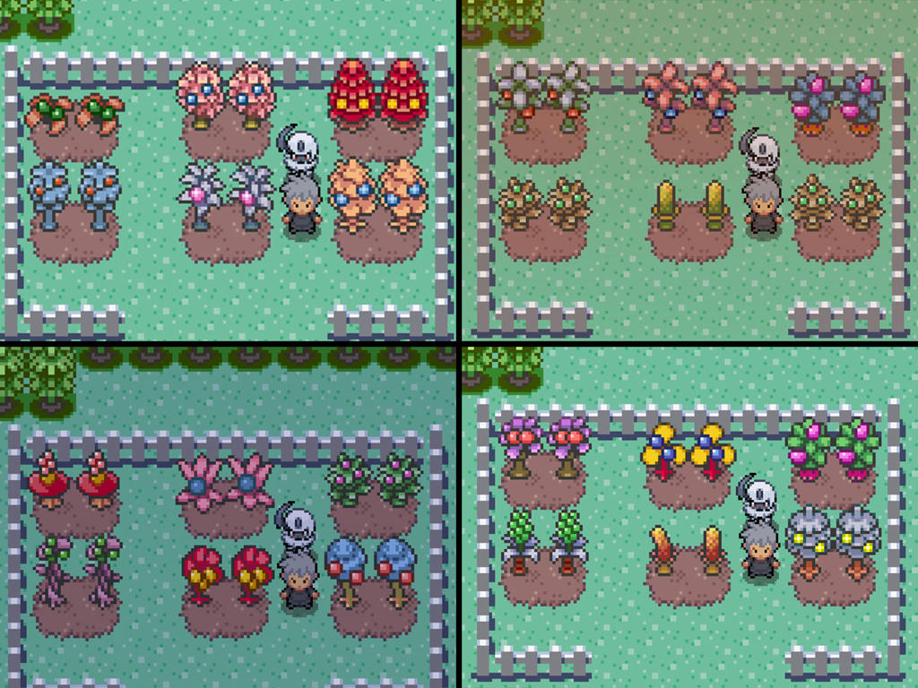 Advanced Berry Guide Page 2 Guide Tavern PokeMMO