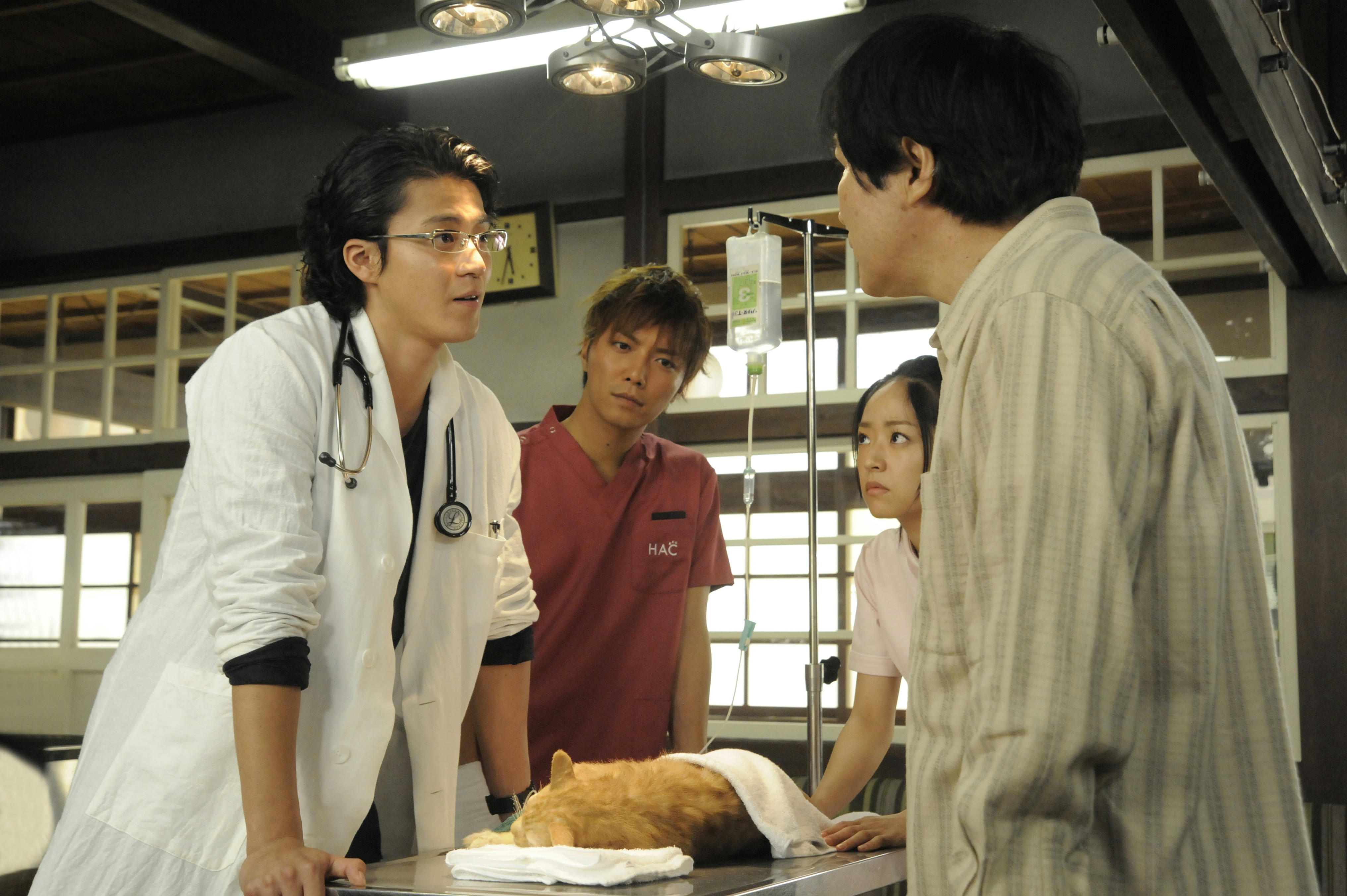 13h05, phim Nhật Bản "Bác sĩ thú y Dolittle" lên sóng VTV1