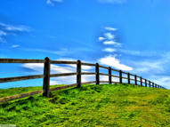 Unlimited Free Image and File Hosting at MediaFire