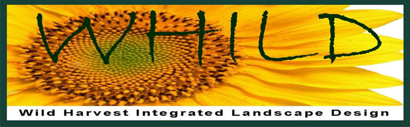 Wild Harvest Integrated Landscape Design Logo Landscape Design using permaculture and organic gardening