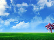 Unlimited Free Image and File Hosting at MediaFire