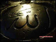 Unlimited Free Image and File Hosting at MediaFire