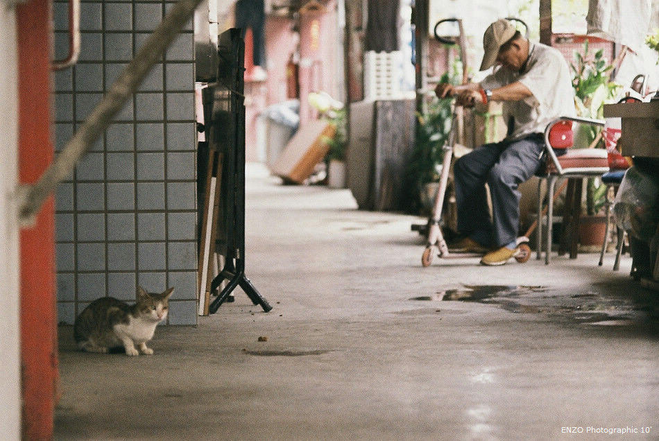 http://www.mediafire.com/imgbnc.php/14fa73d3b28aa6dc4912d1bf9bf04d2b0f7488695f8e3264dda4b8e64fc91d9a6g.jpg