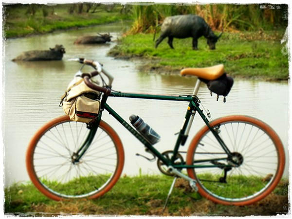 รูปภาพ