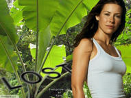 Unlimited Free Image and File Hosting at MediaFire