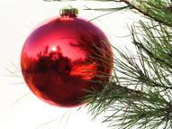 Unlimited Free Image and File Hosting at MediaFire