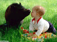 Unlimited Free Image and File Hosting at MediaFire