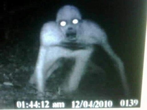 horror horror