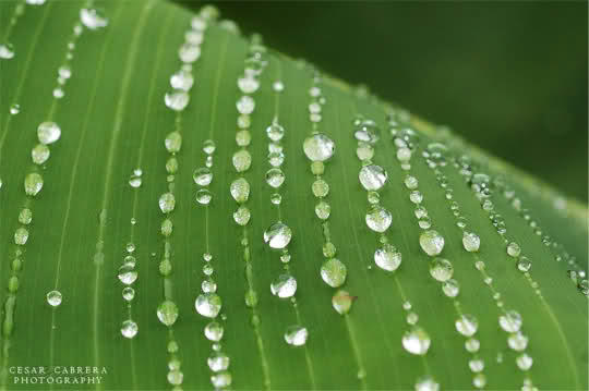 1de69ff2fa7b774838a70f1b5a09c5c9f47f4e401ea6b5c37f9dea81109d803c6g.jpg