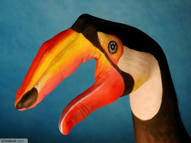 Unlimited Free Image and File Hosting at MediaFire