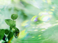 Unlimited Free Image and File Hosting at MediaFire